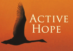 Presentazione del libro Active Hope presso Albero della Vita Bologna
